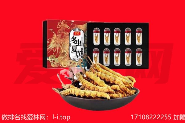 聊城冠县回收虫草.jpg